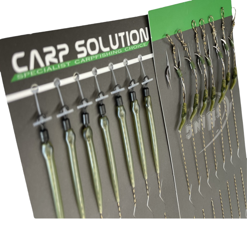 Carp fishing rig